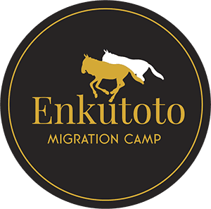 Enkutoto Migration Camp logo