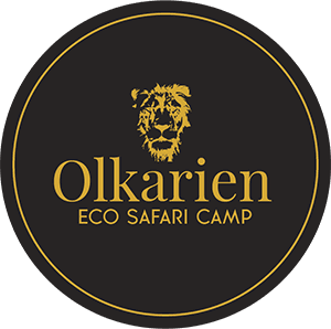 Olkarien Eco Safari Camp logo