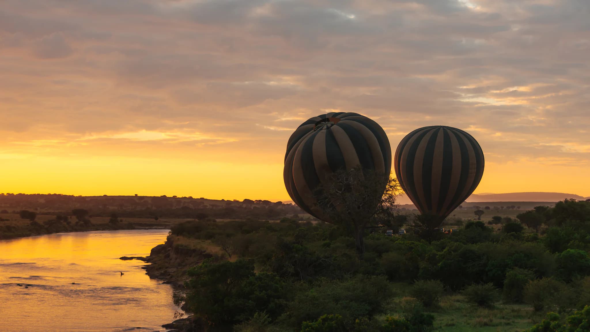 gosheni safari balloon - 29_(2048)