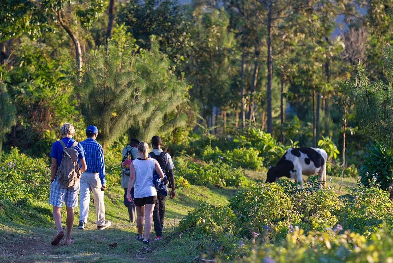 Mount Meru Day Hike